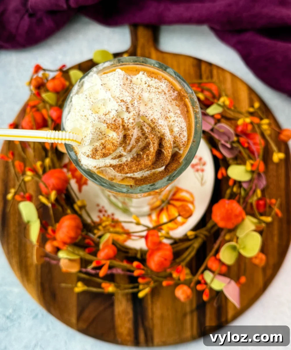 Ninja Slushi's Autumn Spice Elixir 8 Top-down view of the whipped cream swirl on the pumpkin spice milkshake, sprinkled with cinnamon and served with a striped straw.