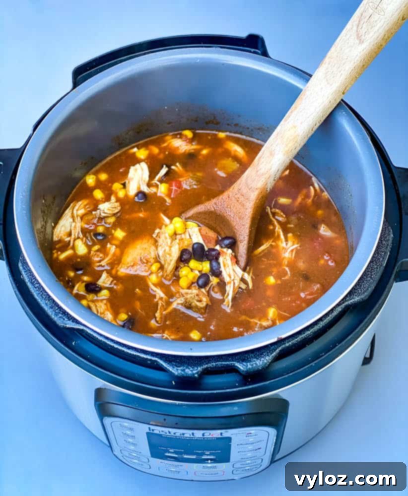 A large pot of Instant Pot Chicken Tortilla Soup ready to be served