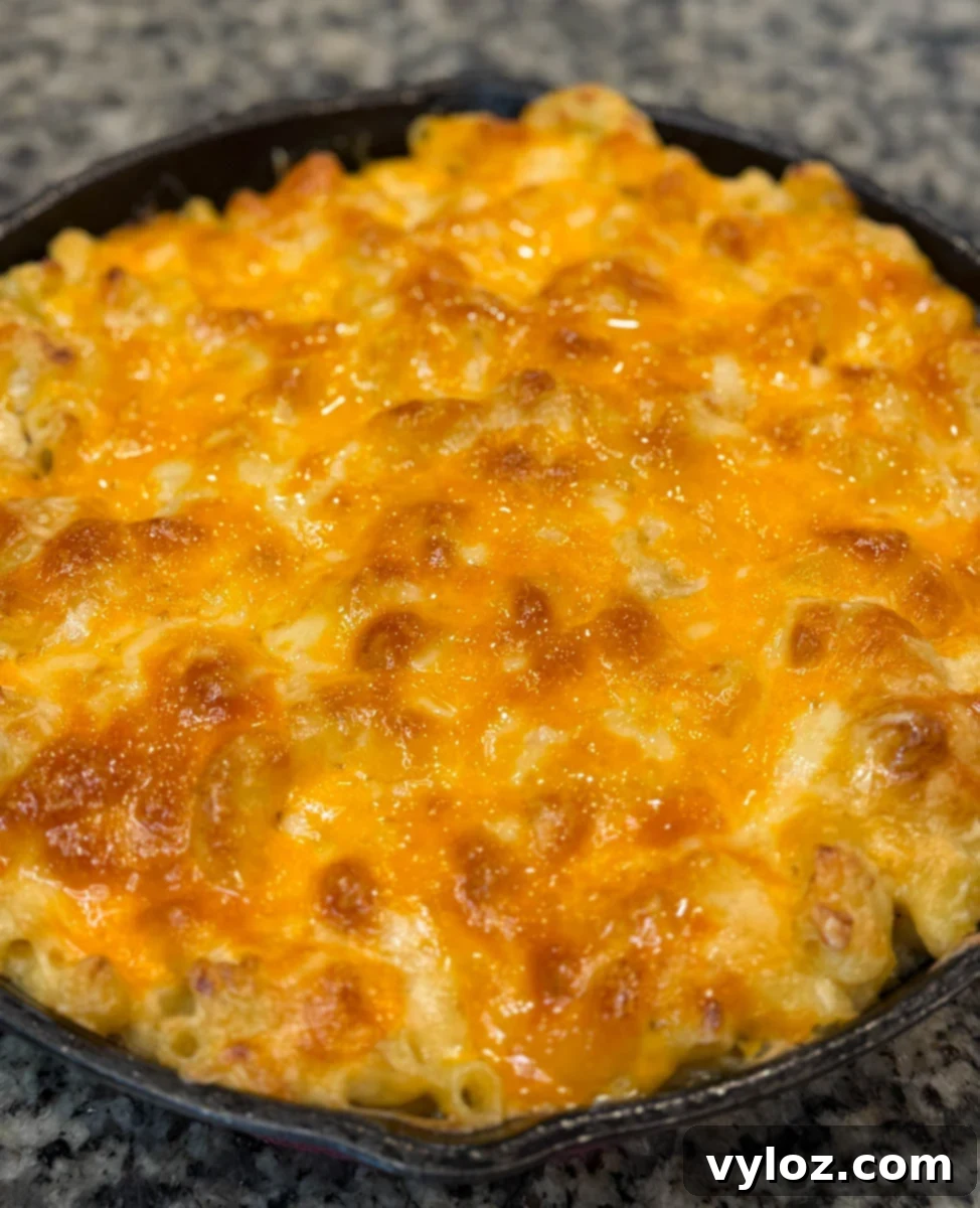 Soulful Golden Baked Macaroni and Cheese 14 Golden, bubbly Southern baked mac and cheese in a skillet on a countertop, cheese melted evenly across the top.