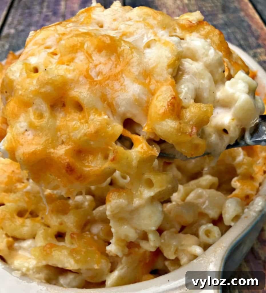 Soulful Golden Baked Macaroni and Cheese 20 Delicious Southern baked mac and cheese with a rich, melted cheese pull.
