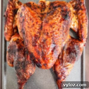 Crispy Skin, Juicy Spatchcock Turkey 11 roasted spatchcocked turkey in a pan