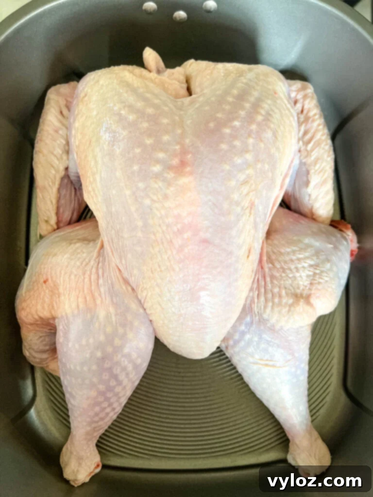 Crispy Skin, Juicy Spatchcock Turkey 5 raw spatchcoked turkey in a pan