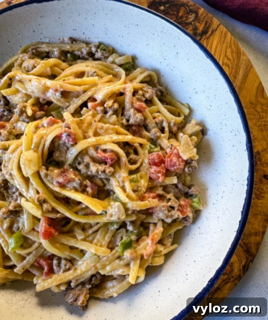 Hearty Ground Beef Alfredo 11 A beautifully plated bowl of One-Pot Ground Beef Alfredo Pasta, showing its creamy texture and rich color.