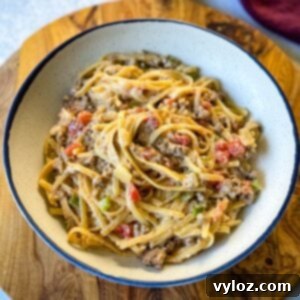 Hearty Ground Beef Alfredo 14 A delicious bowl of Ground Beef Alfredo Pasta, perfect for a quick and easy dinner.