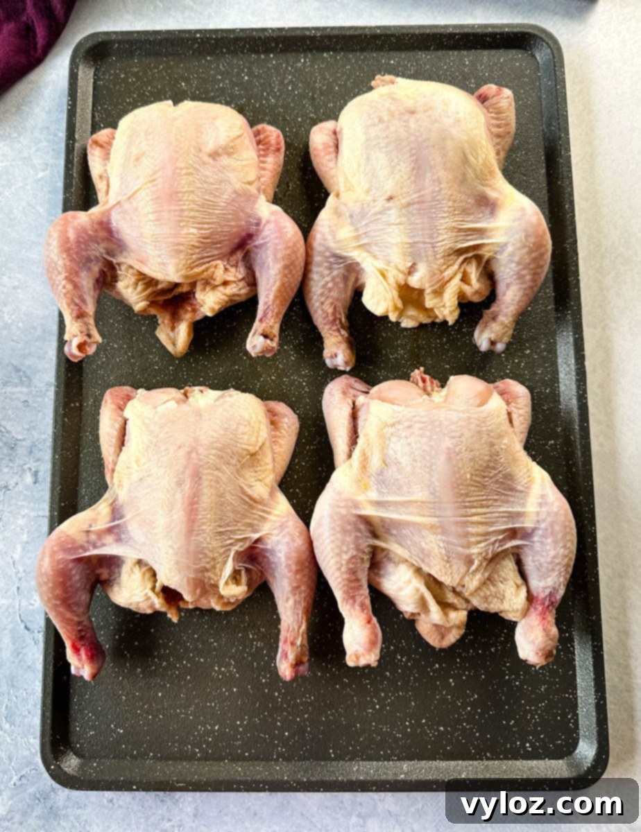 Four uncooked Cornish hens placed side by side on a black roasting pan, skin unseasoned and ready to be prepped.