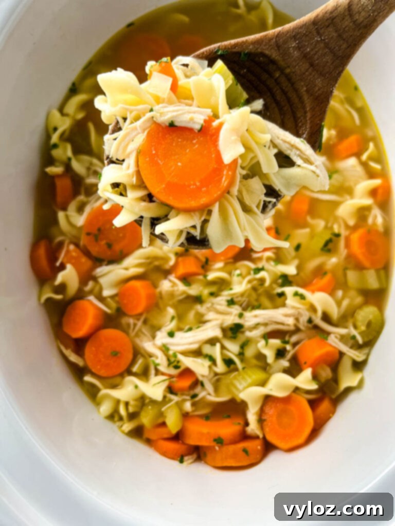 Heartwarming Chicken Noodle Soup 12 A wooden spoon delicately lifts a spoonful of homestyle chicken noodle soup, showcasing the tender chicken, vegetables, and noodles.