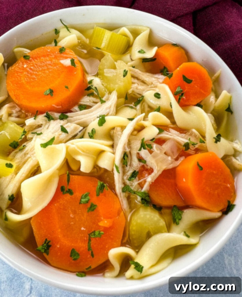 Heartwarming Chicken Noodle Soup 14 A close-up shot of homestyle chicken noodle soup in a white bowl, highlighting the perfectly cooked noodles, chicken, and colorful vegetables.