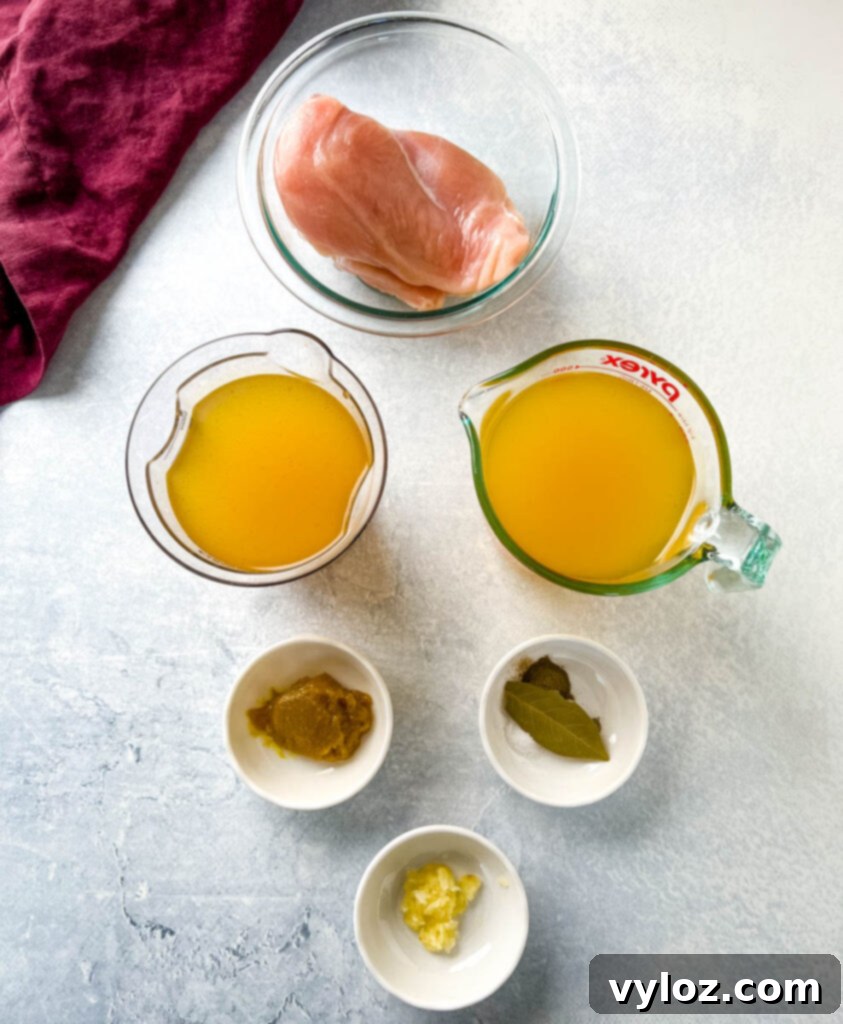 Heartwarming Chicken Noodle Soup 5 Raw skinless chicken breasts, rich chicken broth, and a selection of aromatic spices, all laid out for preparing a delicious homestyle chicken noodle soup.