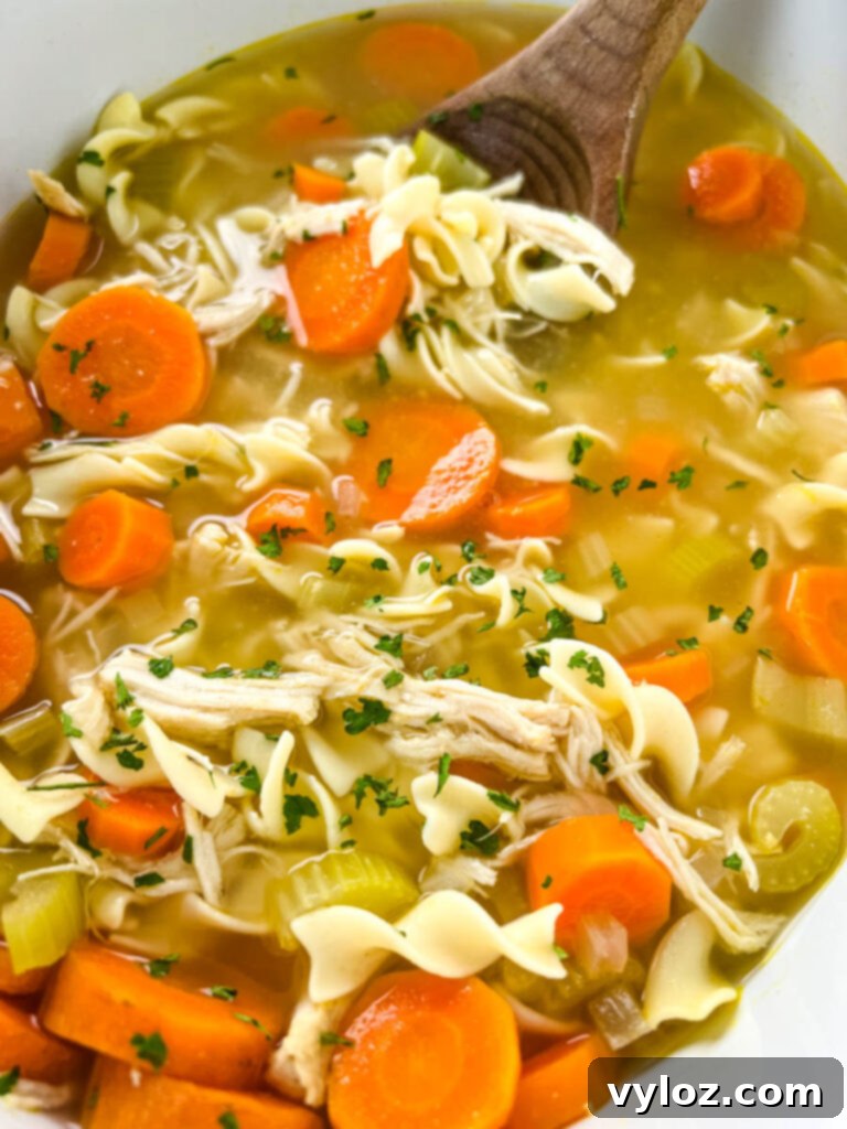 Heartwarming Chicken Noodle Soup 10 A hearty homestyle chicken noodle soup, generously filled with carrots, celery, and tender chicken, simmering in a flavorful broth in a large pot.