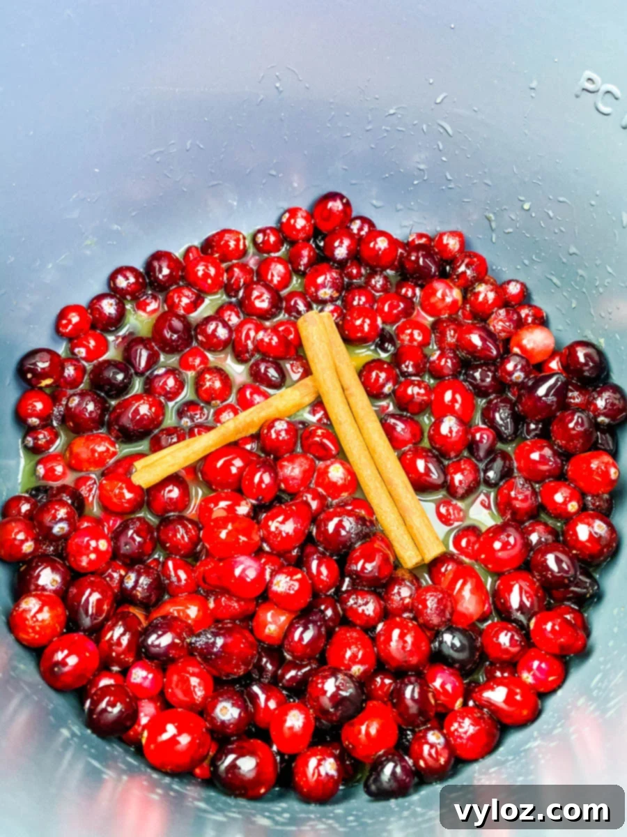 cranberries and cinnamon in an Instant Pot