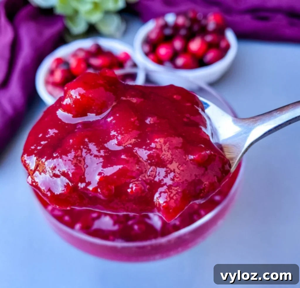 spoonful of Instant Pot cranberry sauce