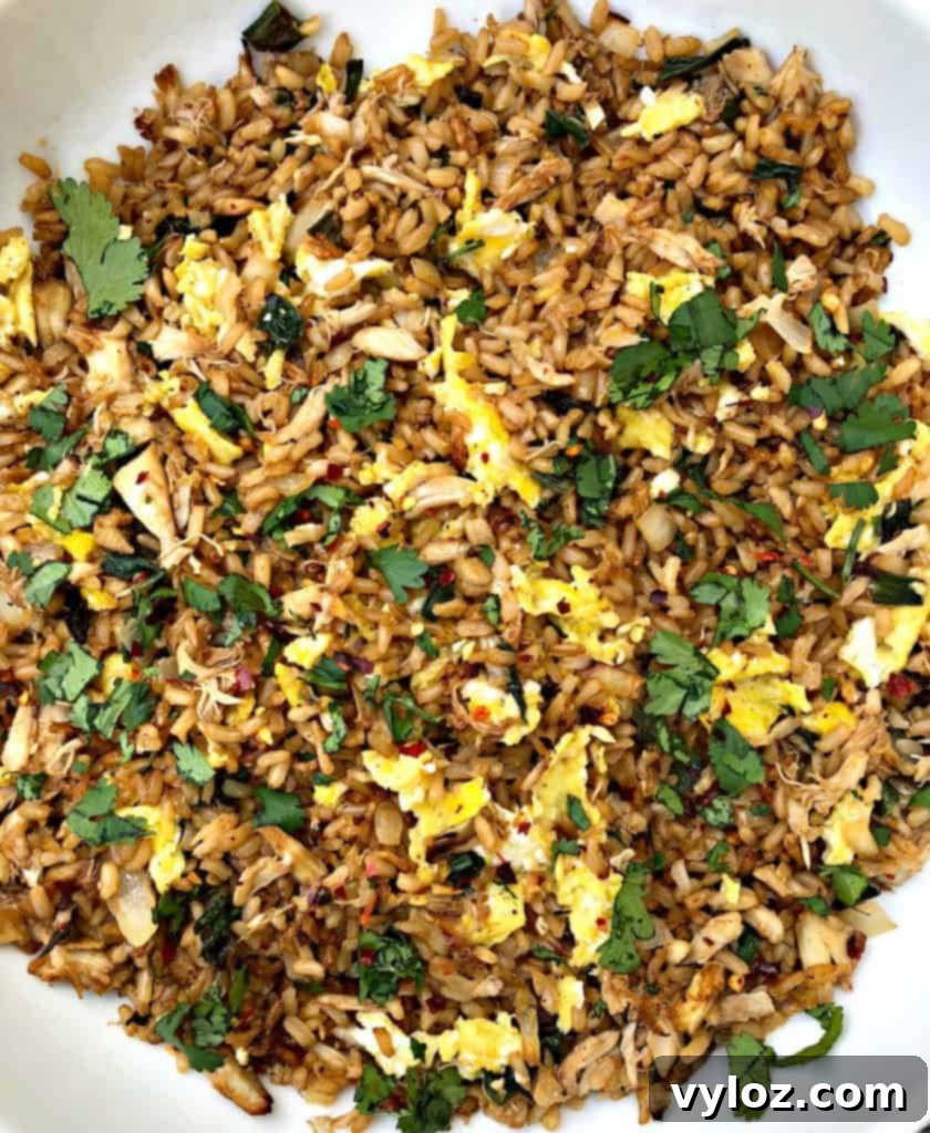 A close-up view of the finished Air Fryer Crab Fried Rice, highlighting the texture and a sprinkle of green onions.