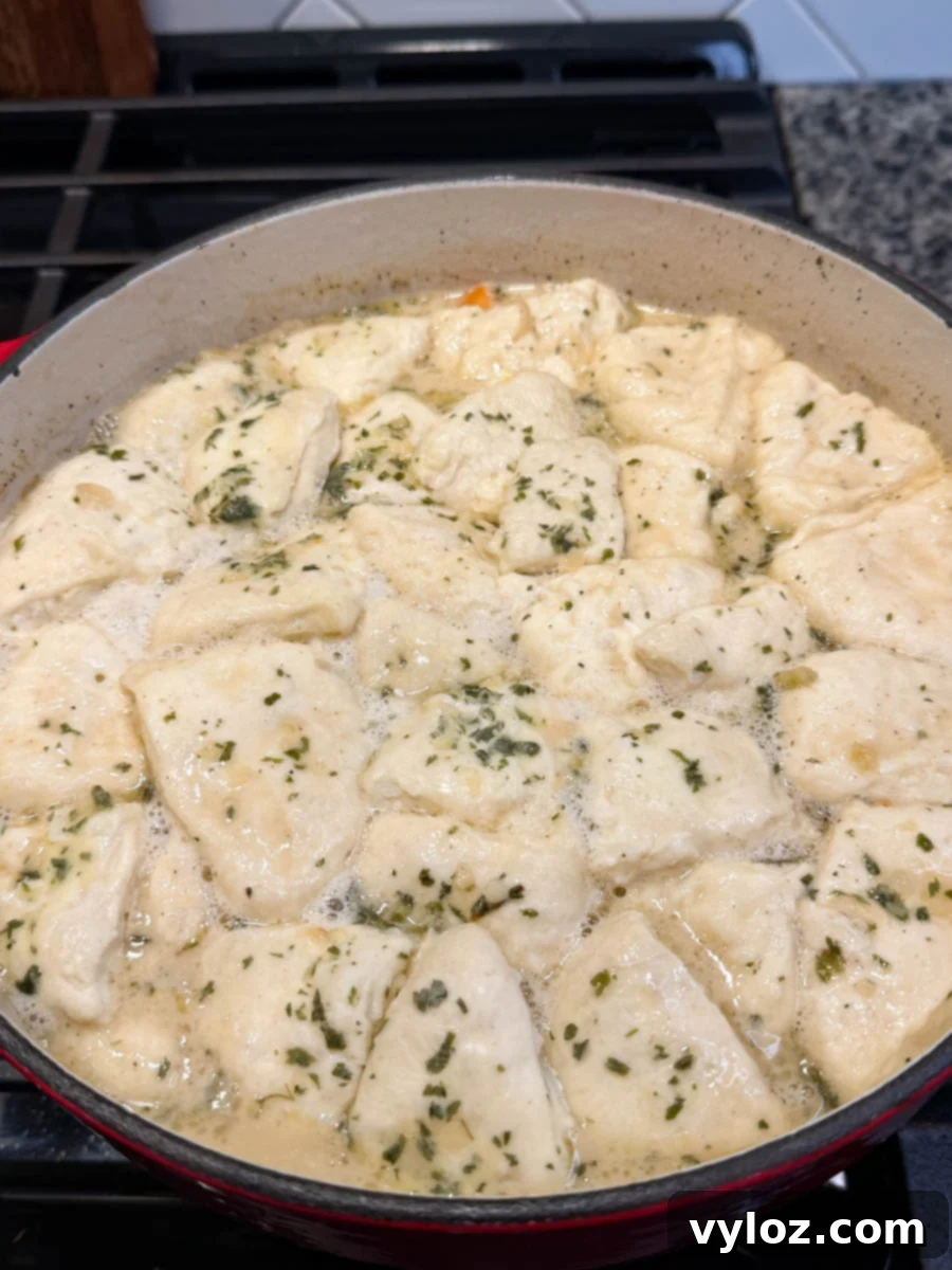 Biscuit dumplings cooking in broth inside a Dutch oven, sprinkled with herbs and bubbling as they steam.