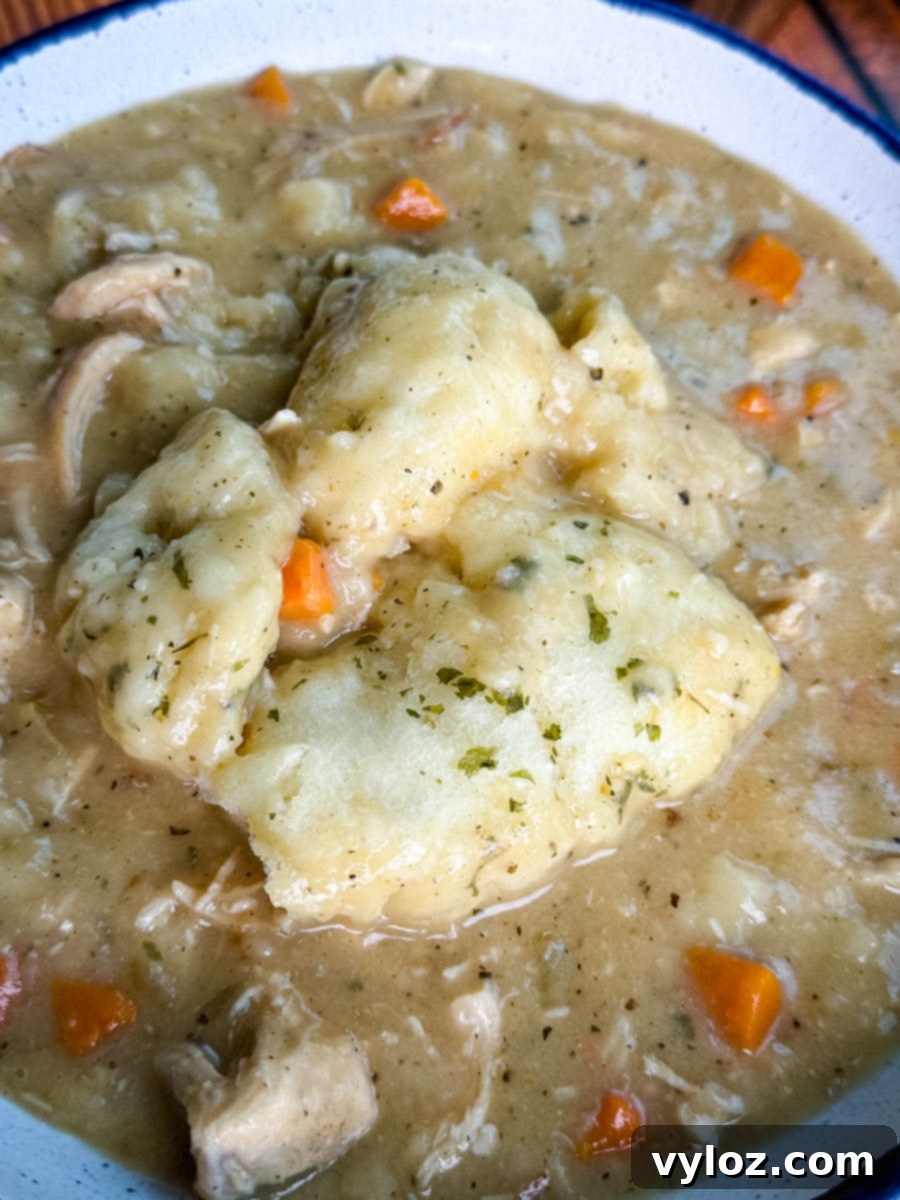 A close-up of a serving of chicken and dumplings in a bowl, showing tender biscuit dumplings, chunks of chicken, and carrots in thick gravy.