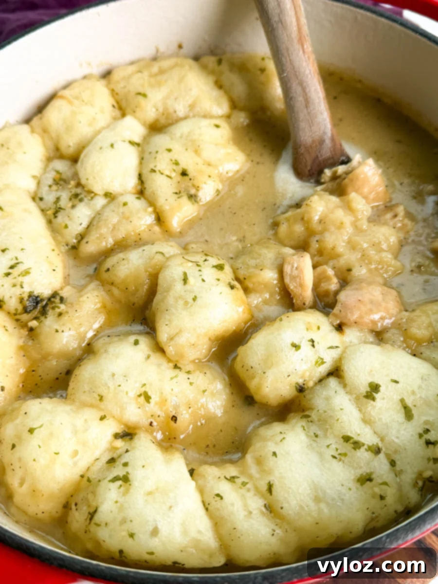 Biscuit dumplings simmering in a creamy chicken gravy inside a Dutch oven, garnished with parsley.