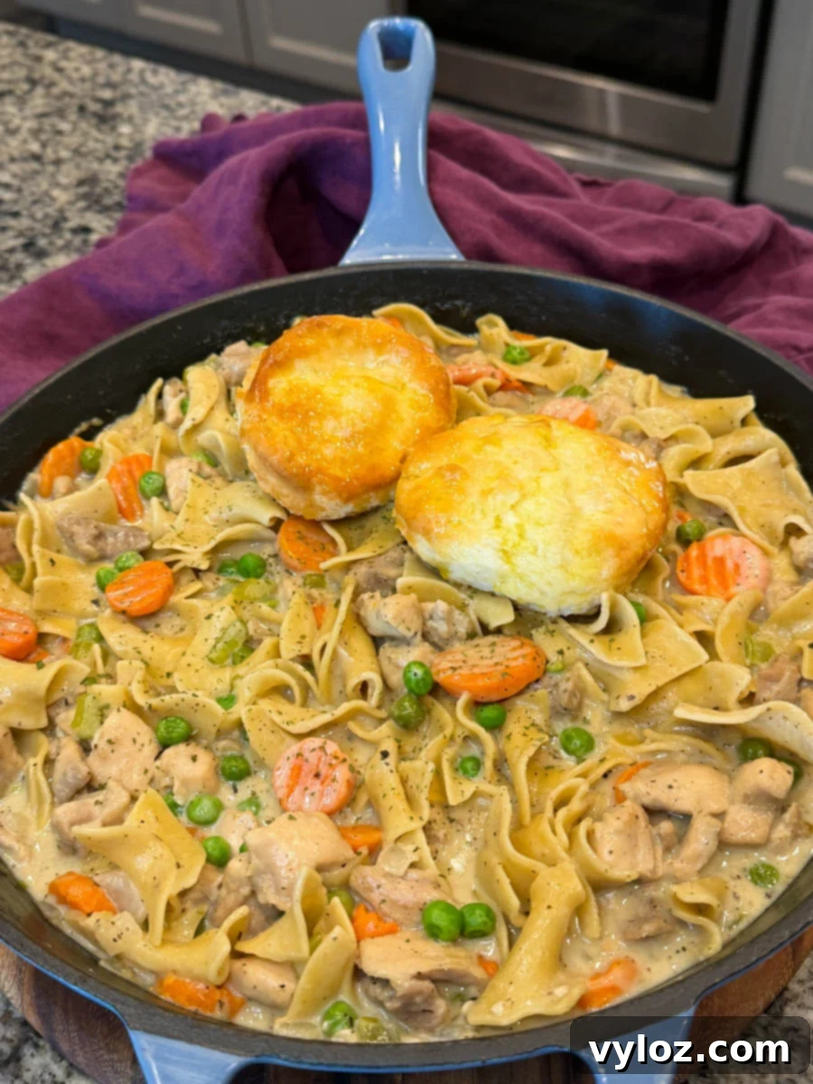 Skillet filled with creamy chicken pot pie casserole featuring tender chicken, peas, carrots, and egg noodles, topped with two golden brown biscuits.