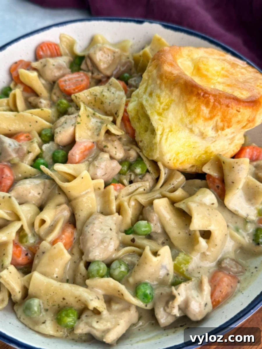 Close-up of creamy chicken pot pie casserole served in a bowl with egg noodles, peas, carrots, and tender chicken pieces, topped with a golden, flaky biscuit.