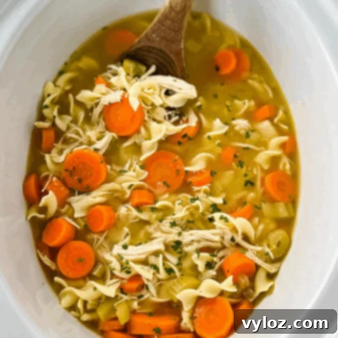 Classic Homestyle Chicken Noodle Soup, a comforting one-pot soup