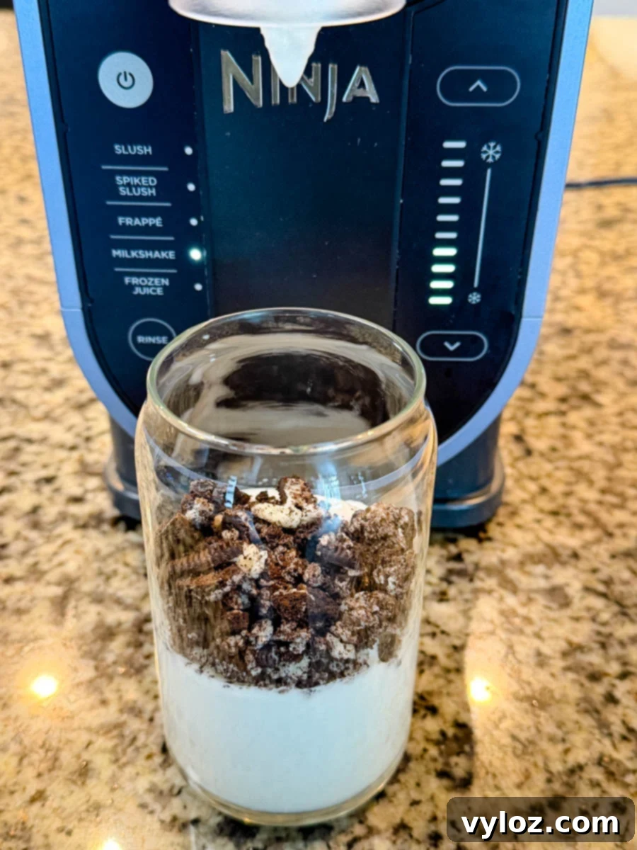 Stealthy Slushy Delight 8 Close-up of a serving of creamy Ninja Slushi McFlurry in a glass, ready for mix-ins.