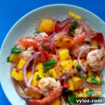 Sun-Kissed Spicy Mango Prawn Salad 5 Spicy Prawn Mango Summer Salad