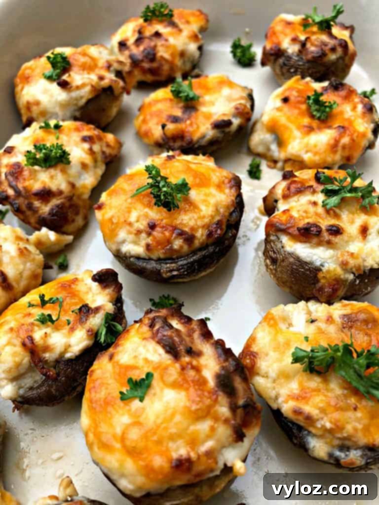 Golden Cheesy Air Fryer Mushrooms 4 Close-up of a perfectly cooked air fryer cheese stuffed mushroom, showing melted cheese