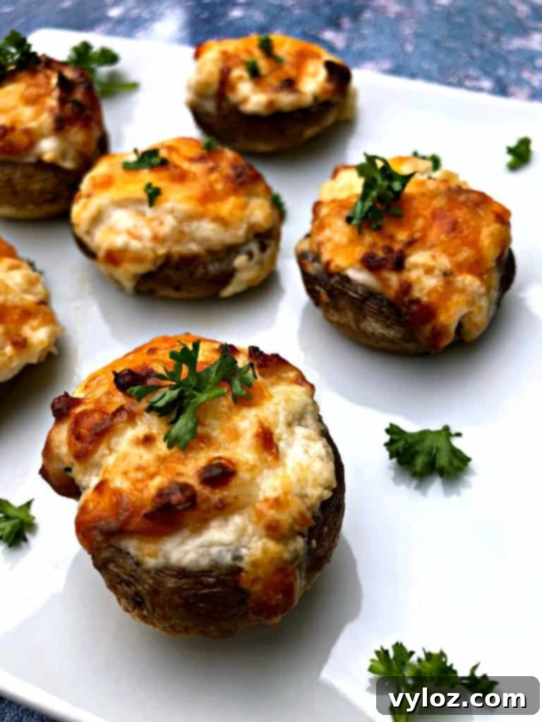 Golden Cheesy Air Fryer Mushrooms 6 Close-up of a cooked air fryer cheese stuffed mushroom, ready to be served