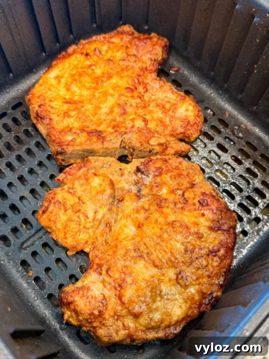 Two raw, breaded pork chops placed in the air fryer basket before cooking.