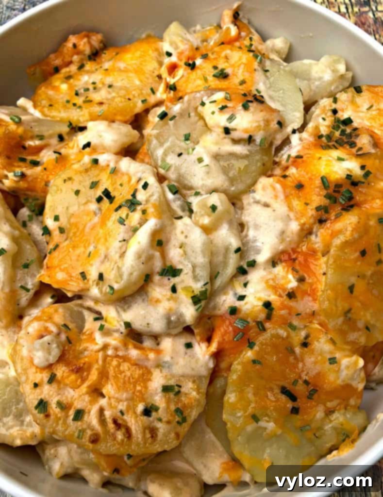 Creamy Cheddar Scalloped Potatoes in Instant Pot 5 close up of instant pot scalloped potatoes