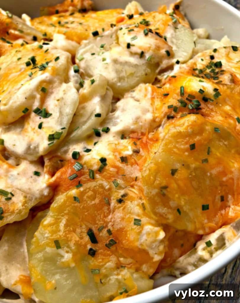 Creamy Cheddar Scalloped Potatoes in Instant Pot 7 instant pot scalloped potatoes in a white bowl