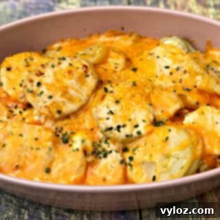 Creamy Cheddar Scalloped Potatoes in Instant Pot 8 instant pot scalloped potatoes in a pink bowl