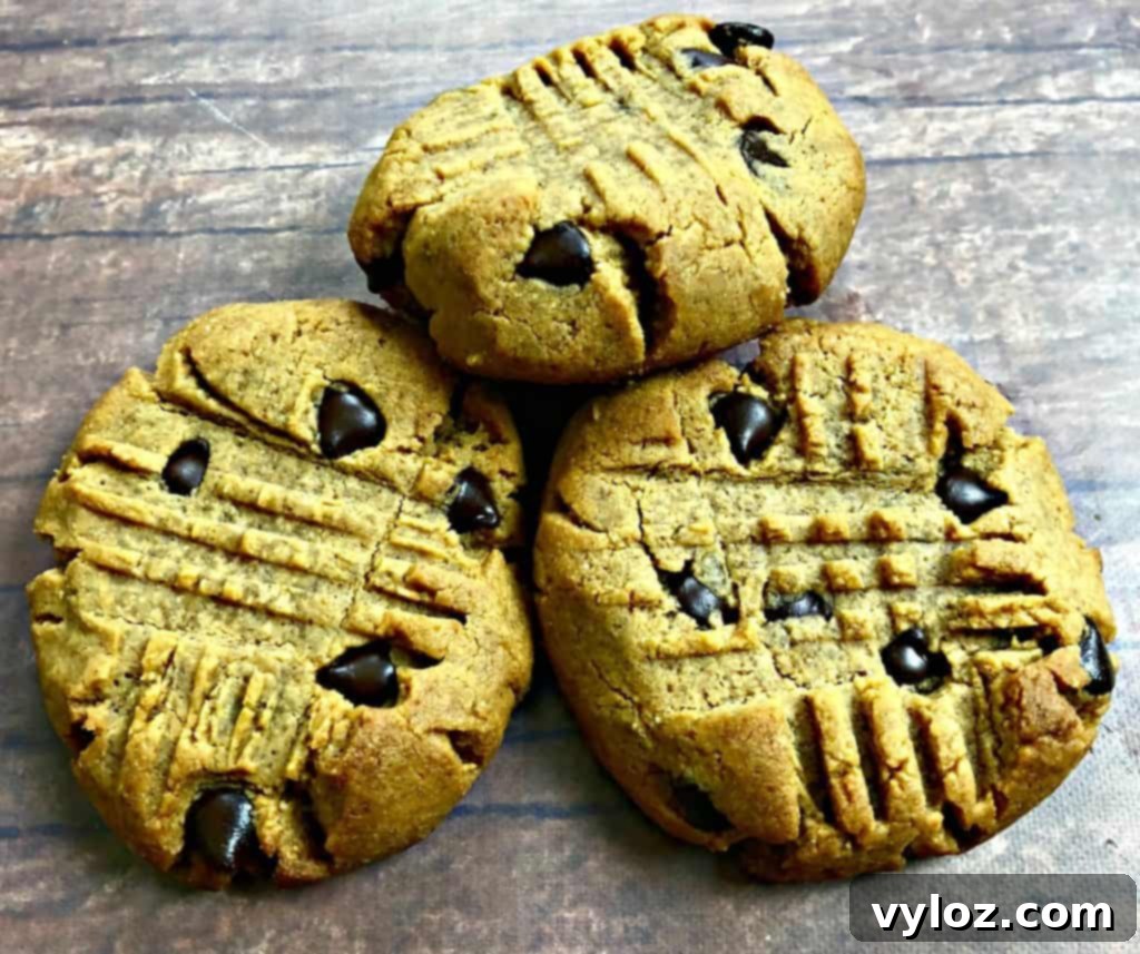 Simple Keto Peanut Butter Cookies 11 keto pb chocolate chips on a brown surface