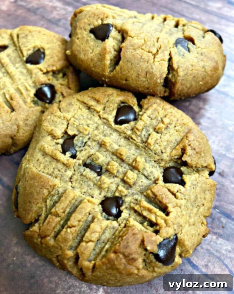 Simple Keto Peanut Butter Cookies 12 keto pb chocolate chips on a brown surface