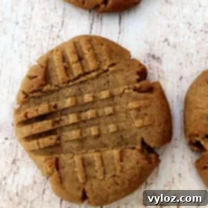 Simple Keto Peanut Butter Cookies 9 2 keto peanut butter cookies on a flat surface