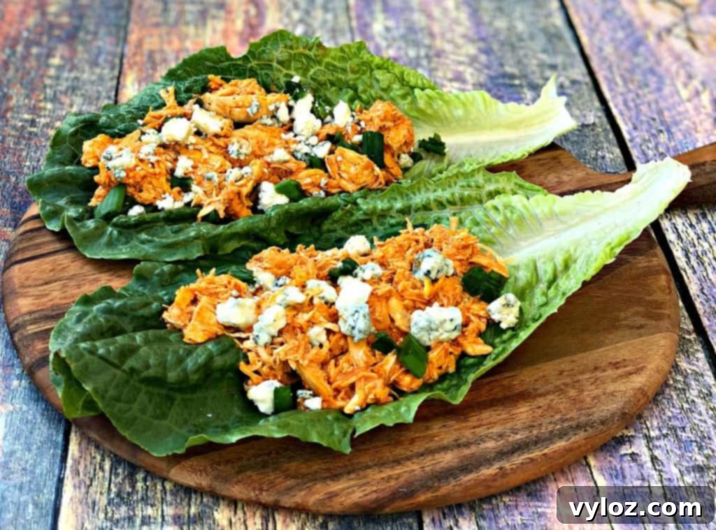 Spicy Cheesy Instant Pot Keto Buffalo Chicken Lettuce Wraps 5 Overhead shot of several buffalo chicken lettuce wraps arranged neatly, highlighting the fresh ingredients and appetizing presentation.