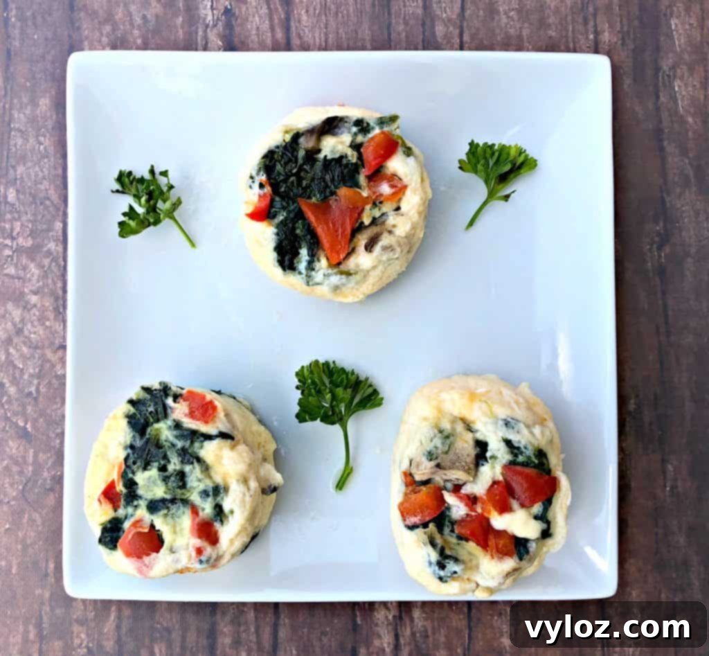 Keto Veggie Egg White Bites 6 Several Keto Low-Carb Egg White Omelet Vegetable Bites artfully arranged on a clean white plate, emphasizing their appealing texture and vibrant colors.