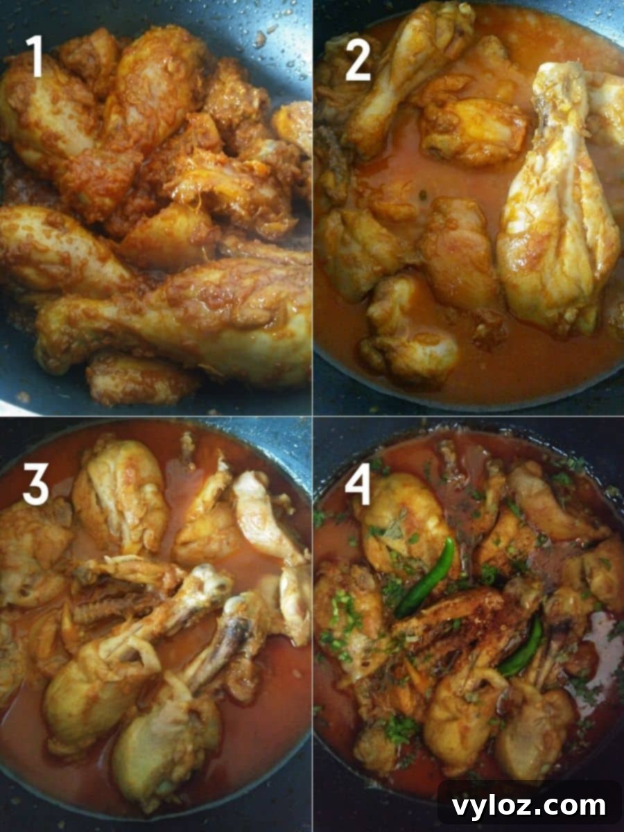 Punjabi Dhaba Chicken