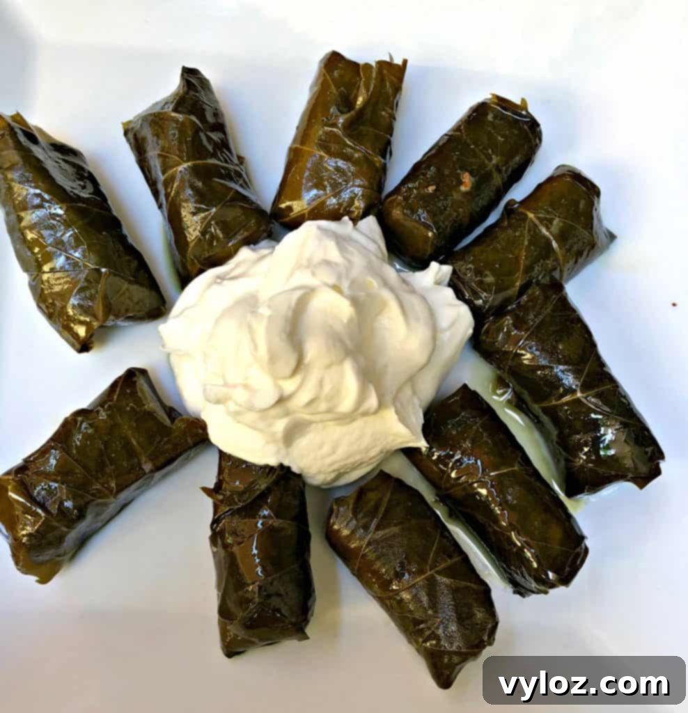 Rice stuffed grape leaves with Greek yogurt