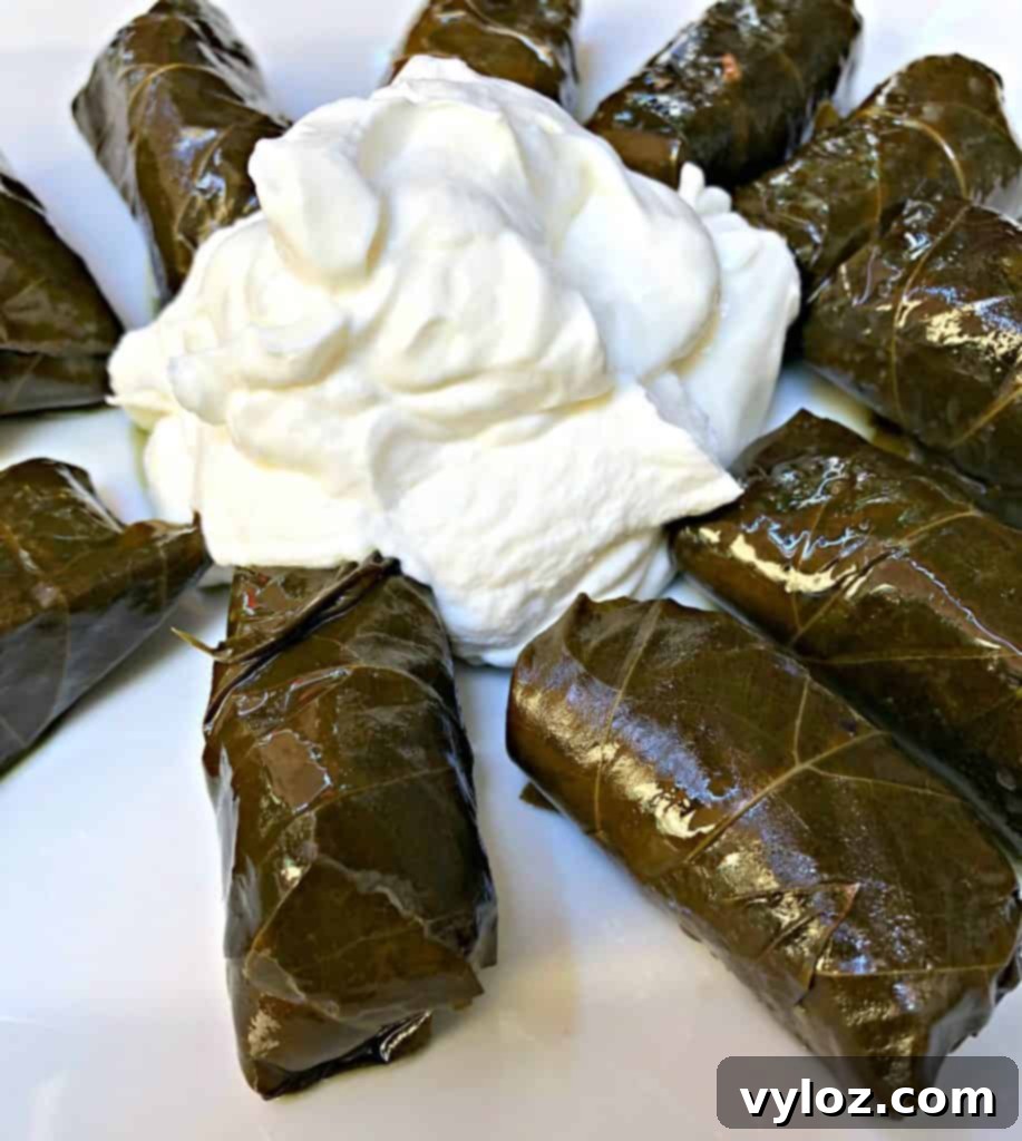 Close-up of rice stuffed grape leaves on a plate