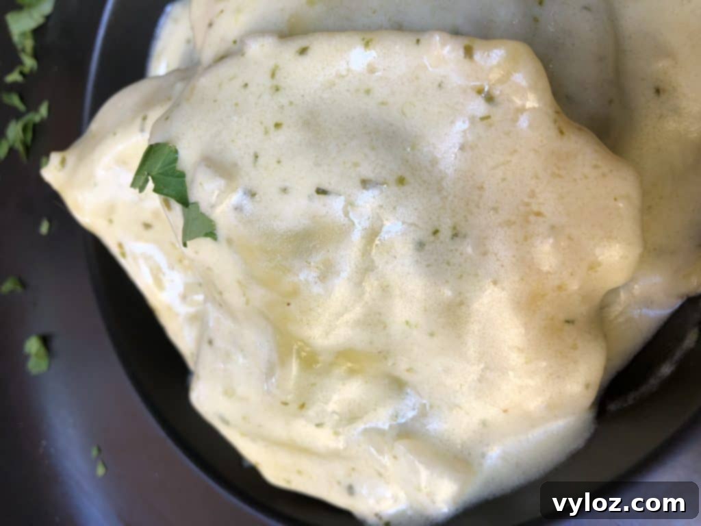 Delicious ravioli pasta with sauce