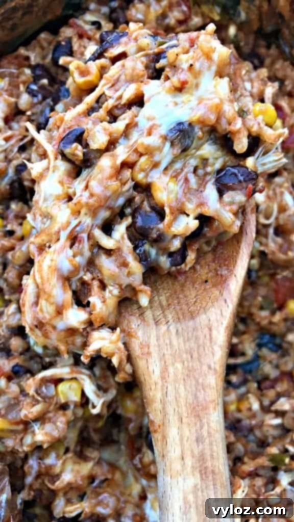 Slow-Cooker Southwestern Chicken and Brown Rice in a serving bowl, garnished with fresh cilantro.