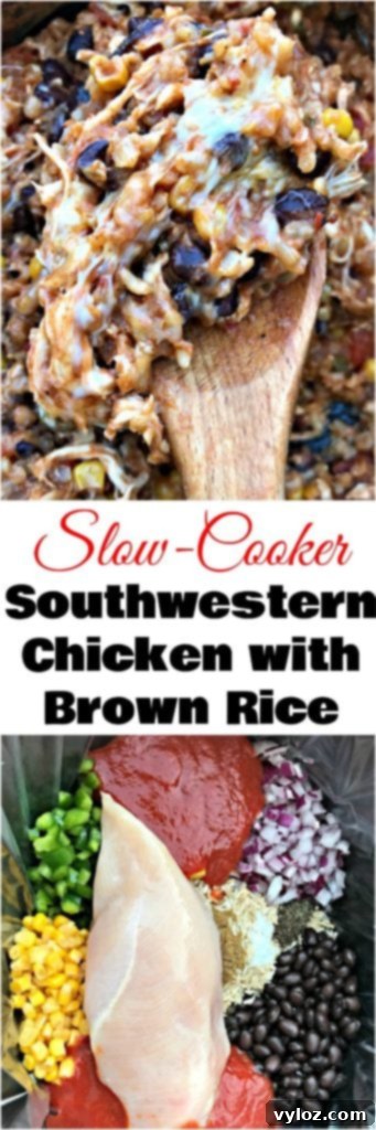 A vibrant image of slow cooker southwestern chicken with brown rice, ready to be enjoyed.