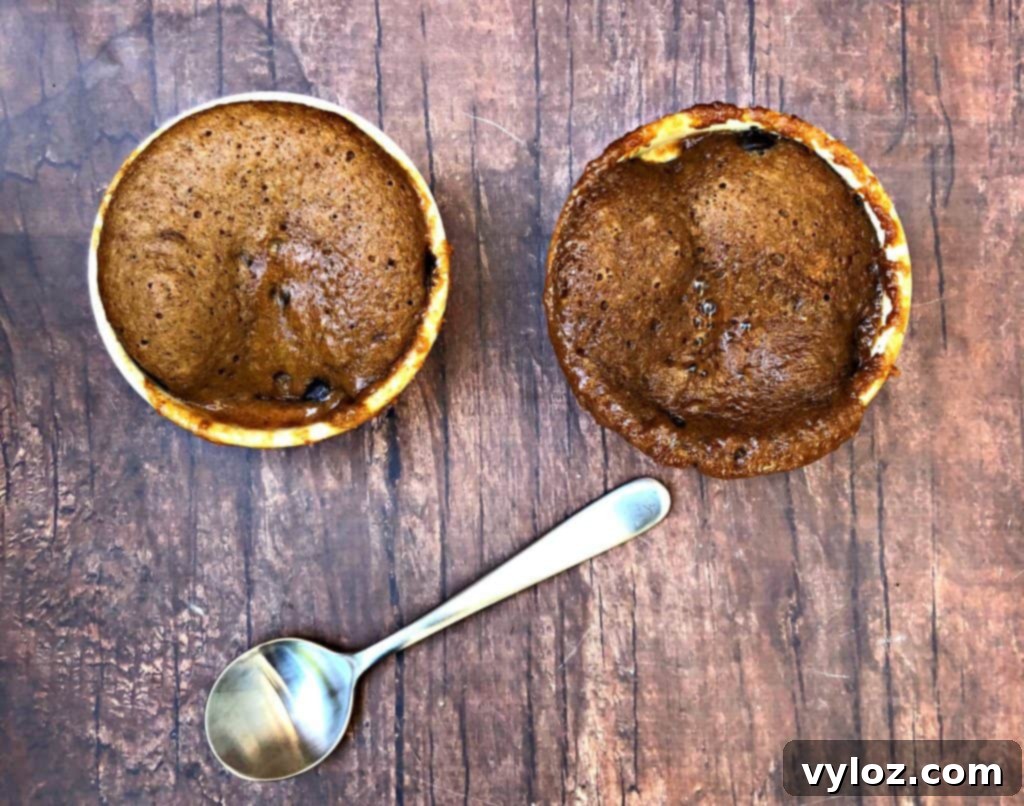 Instant Keto Chocolate PB Mug Cake 2 Close-up of a delicious Keto Chocolate Peanut Butter Mug Cake in a colorful mug, topped with sugar-free chocolate chips.