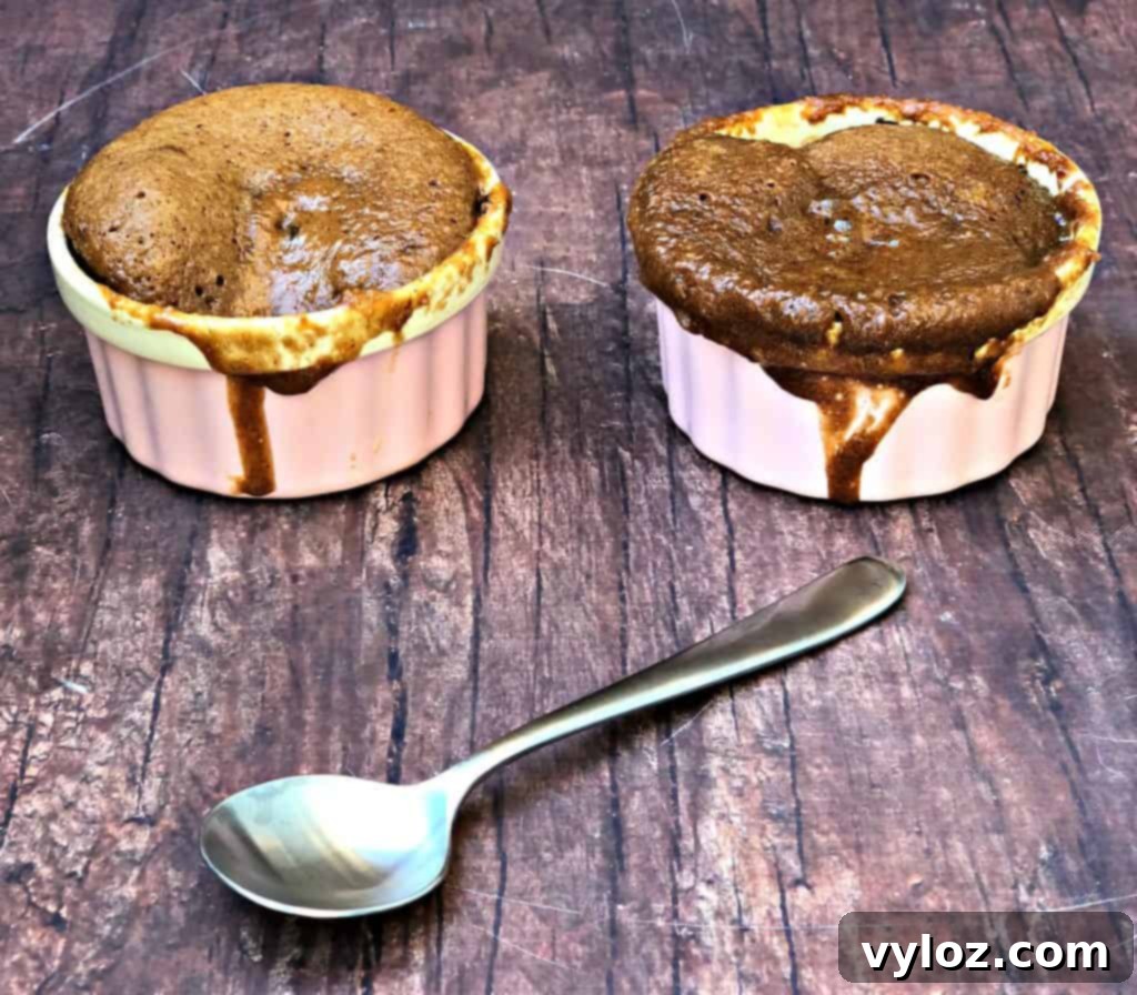 Instant Keto Chocolate PB Mug Cake 3 Two servings of keto peanut butter chocolate chip mug cake in pink ramekins, ready to be enjoyed.