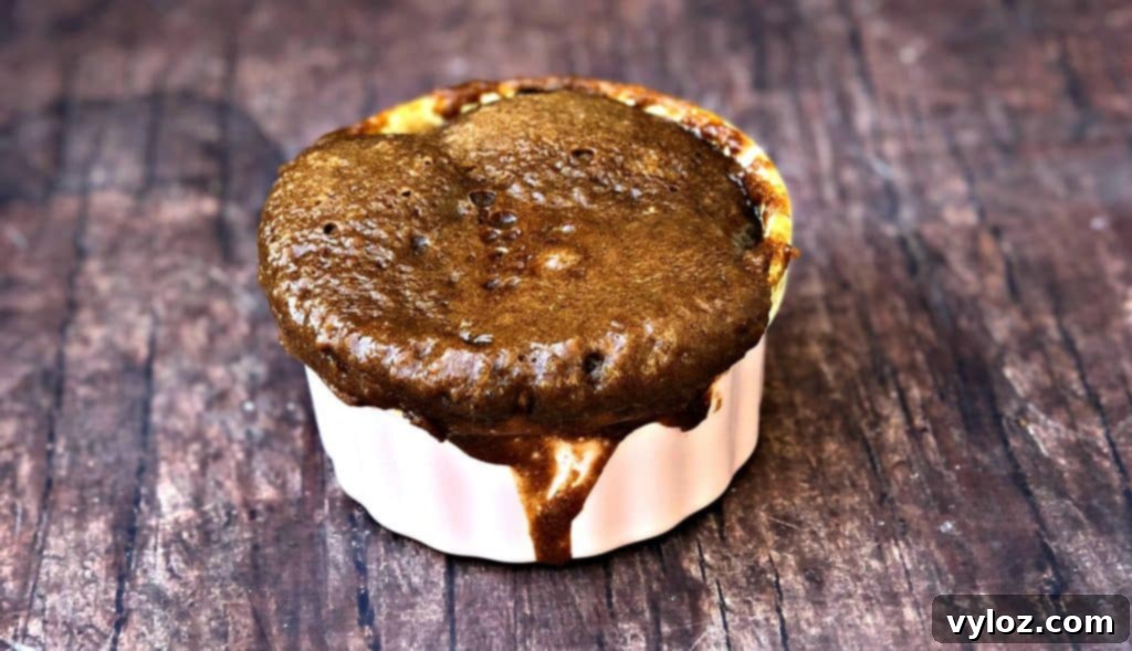 Instant Keto Chocolate PB Mug Cake 4 Single serving of keto peanut butter chocolate chip mug cake, showcasing its moist texture and chocolate chips.