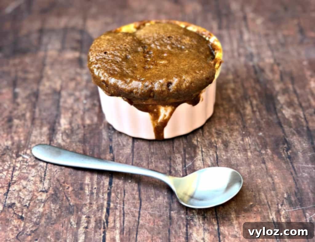 Instant Keto Chocolate PB Mug Cake 5 Overhead shot of a keto peanut butter chocolate chip mug cake in a pink bowl, garnished with chocolate chips.