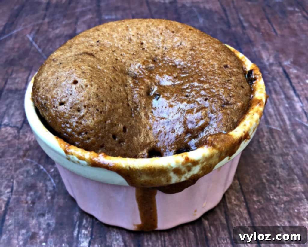 Instant Keto Chocolate PB Mug Cake 6 A beautifully textured keto chocolate peanut butter mug cake in a pink bowl, inviting a taste.