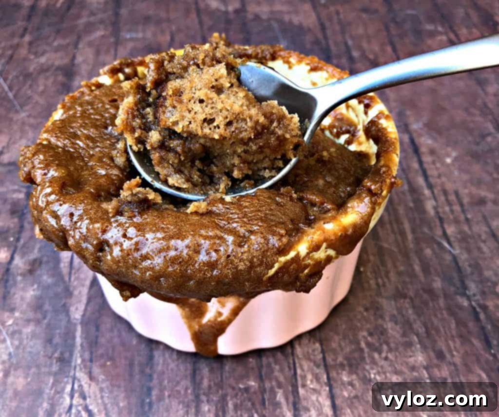 Instant Keto Chocolate PB Mug Cake 7 Close-up of keto chocolate peanut butter mug cake, showing its fluffy texture and rich color.