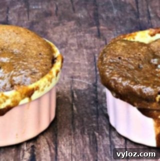 Instant Keto Chocolate PB Mug Cake 9 2 servings of keto peanut butter chocolate chip mug cake in pink ramekins