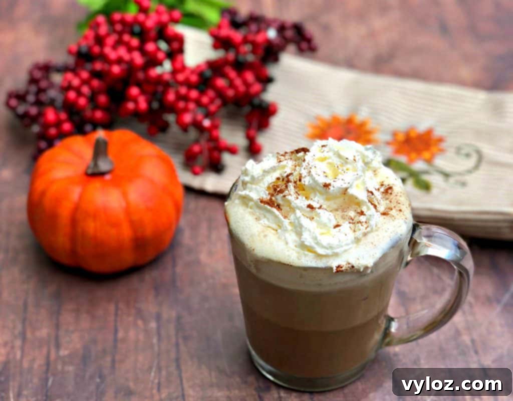 DIY Keto Low-Carb Starbucks Pumpkin Spice Latte Video Recipe 7 A finished keto pumpkin spiced latte with whipped cream and sprinkles