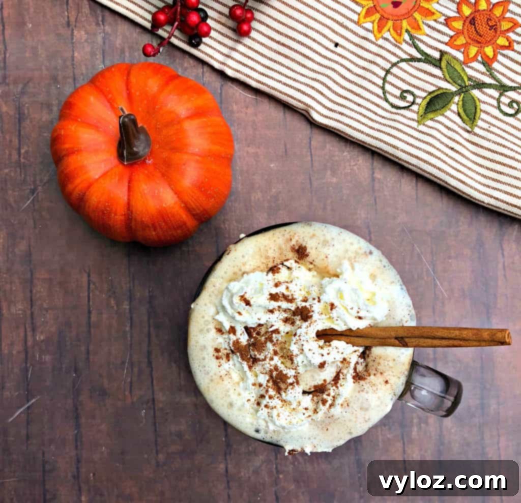 DIY Keto Low-Carb Starbucks Pumpkin Spice Latte Video Recipe 10 Overhead shot of two keto pumpkin spiced lattes, garnished with whipped cream and cinnamon